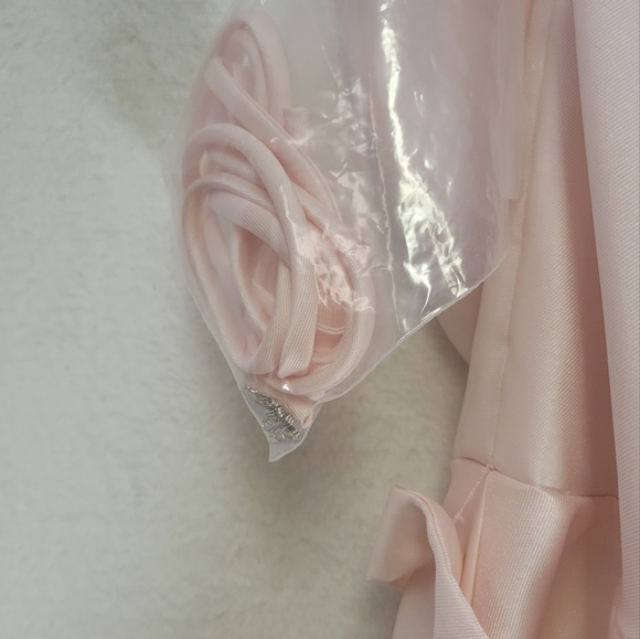 Alfred Sung Full Length,  Dress..Pearl Pink..Size 18W - Picture 4 of 8